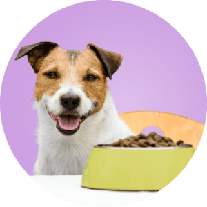 ruff life only sells pet food made with real ingredients